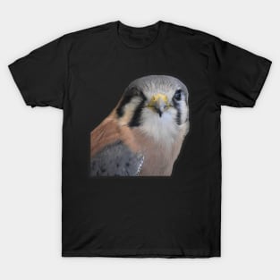 Kestrel T-Shirt